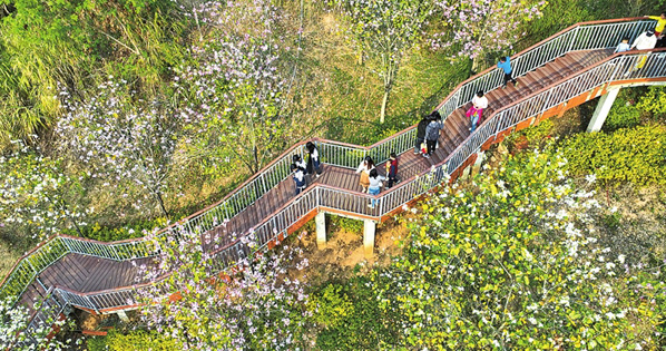 河源市龍川縣：提高生態(tài)文明建設(shè)水平 打造人與自然和諧共生